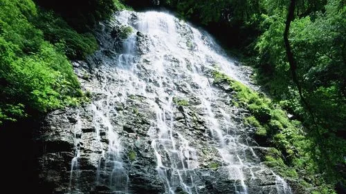 高性能先进